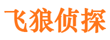 宁乡市调查公司